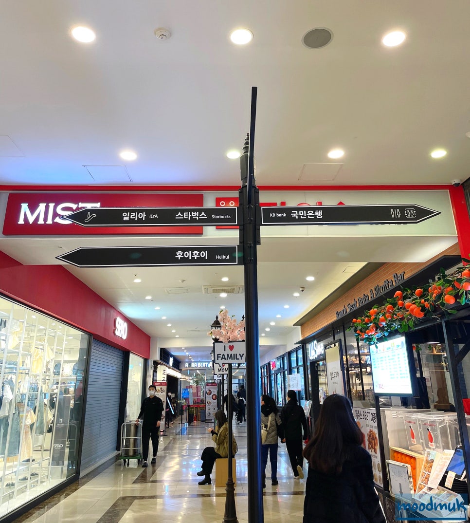 일리아플라워 이미지