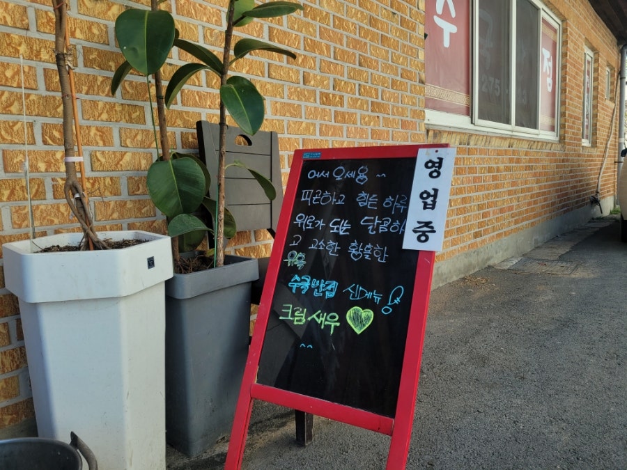 수국반점 이미지