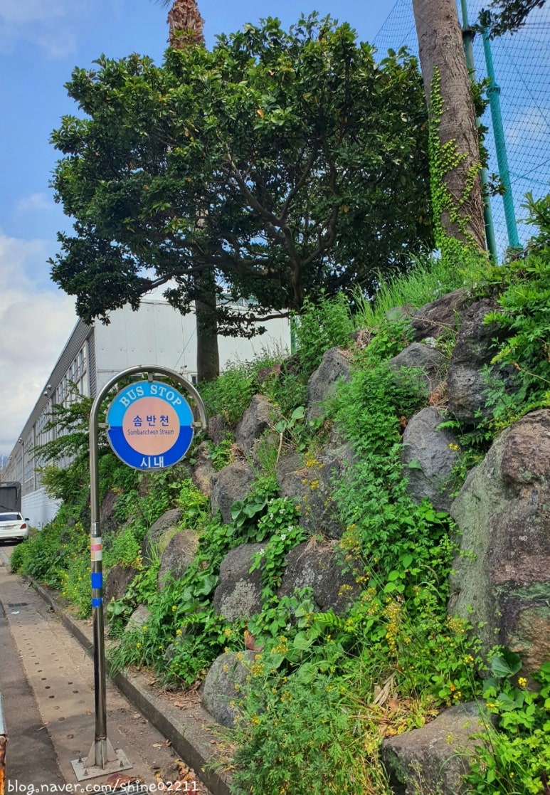 아리랑밀면 이미지