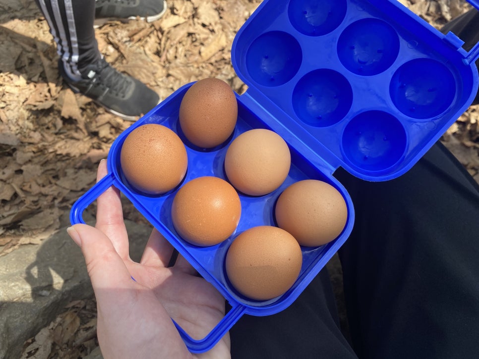 금이 케이스 이미지