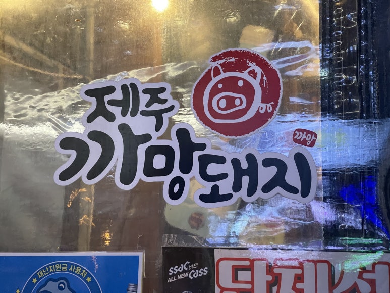 제주까망돼지 이미지