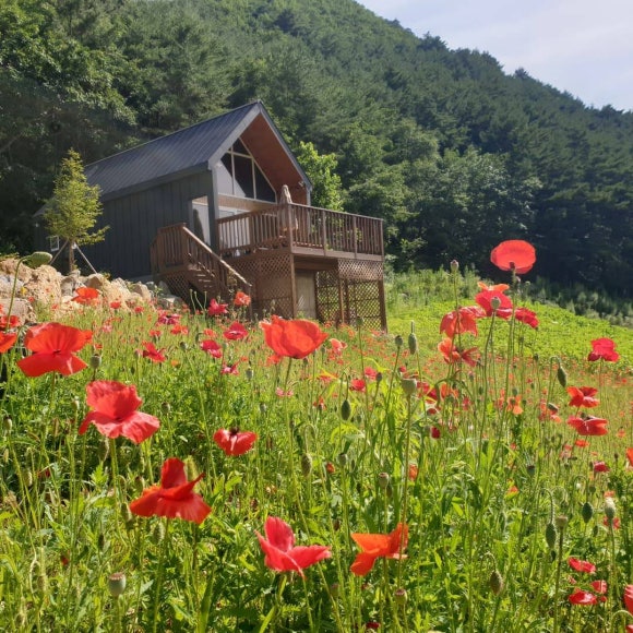 산촌펜션 이미지