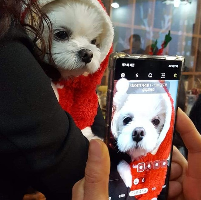 아로마크러쉬 이미지
