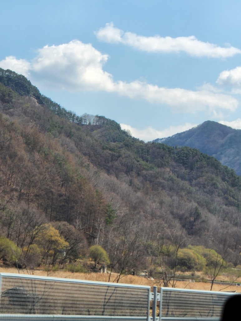 장영선원조지례삼거리불고기식당 이미지