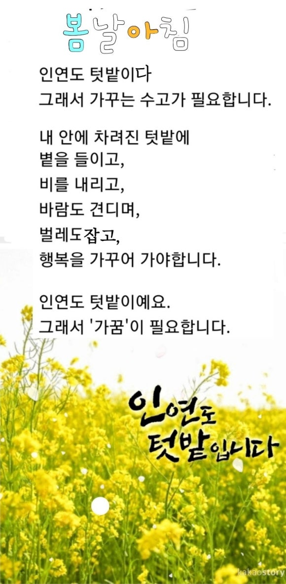 다흰컴퍼니 이미지