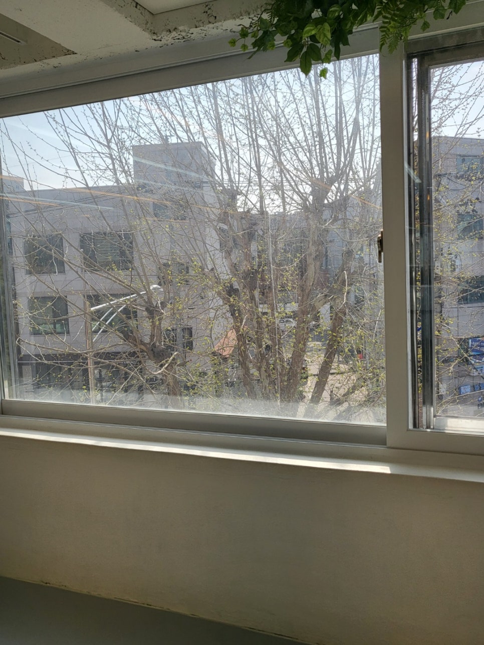 대학로발레학원 이미지