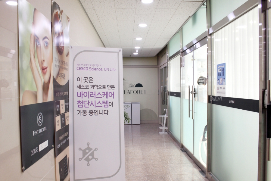 에스테티아세종소담 이미지