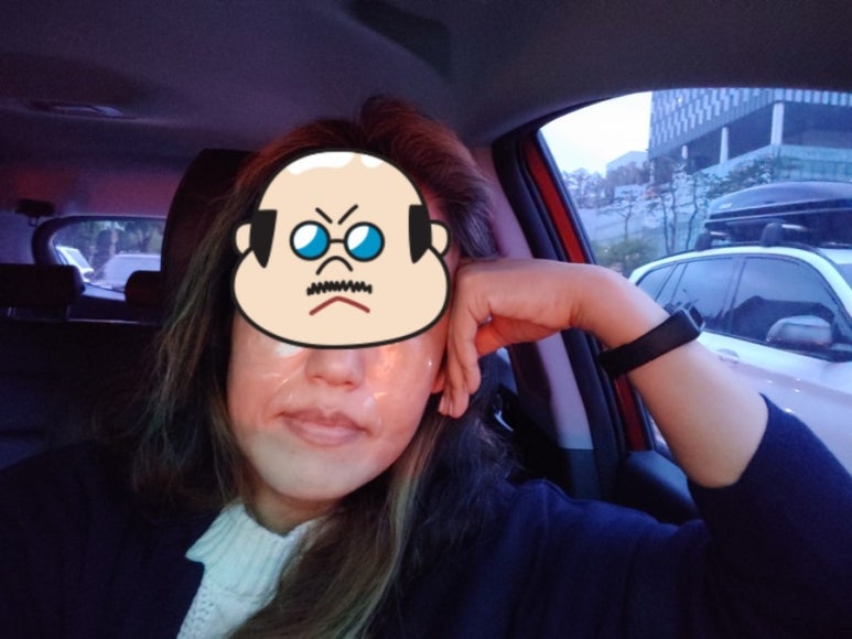 빵빠레투 이미지