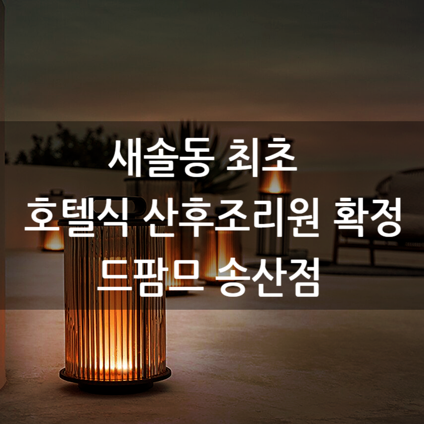 비디오브 이미지