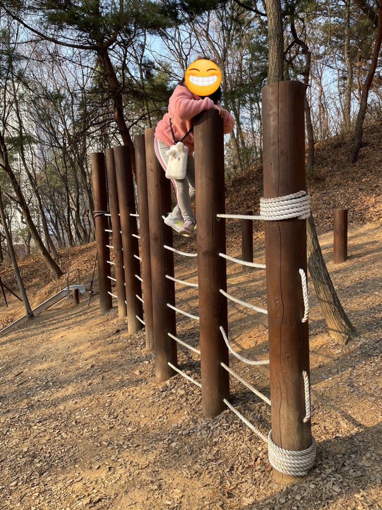 남양 유아숲체험원 이미지