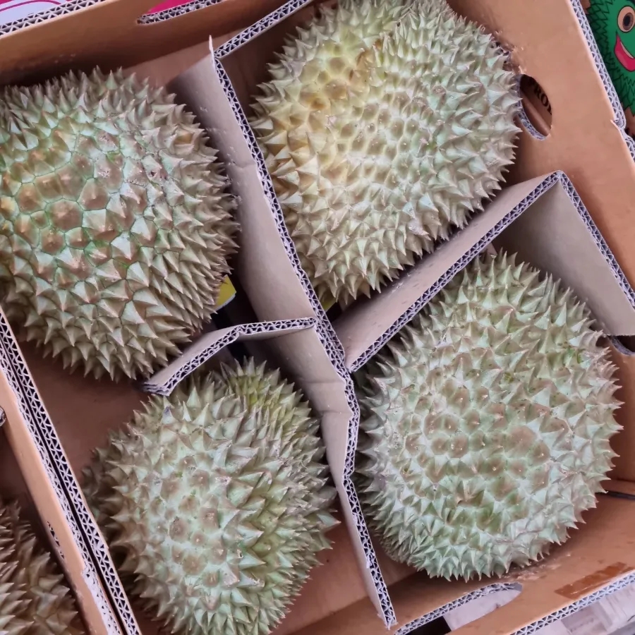 여왕청과 이미지
