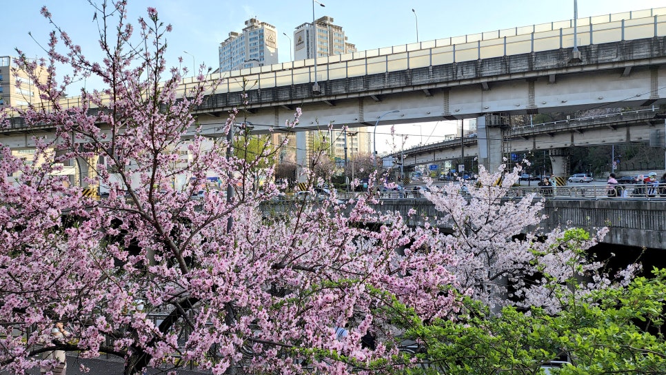 멀티커피 방배점 이미지