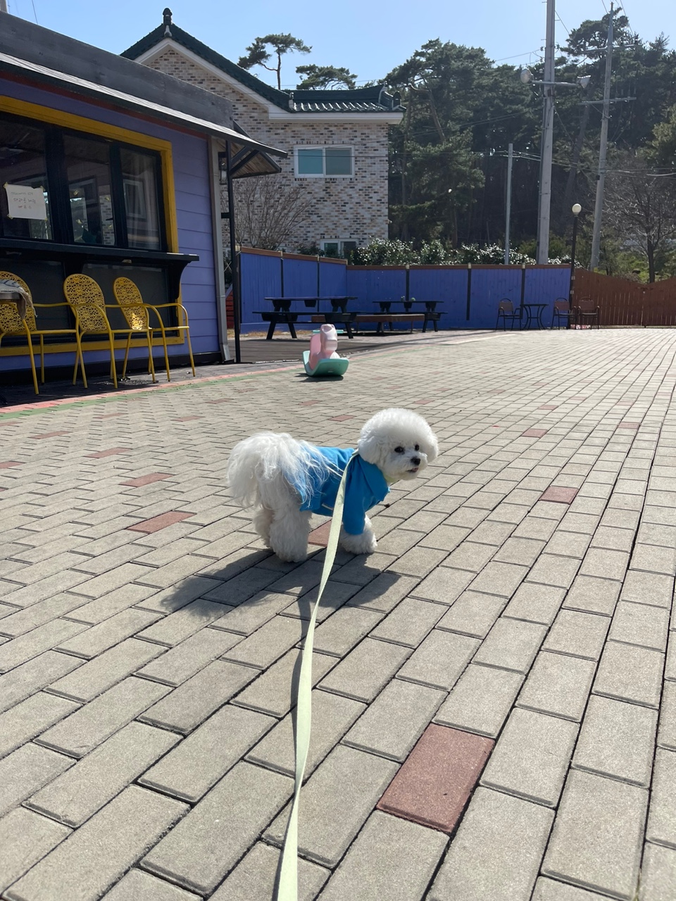 오마이도시락 이미지