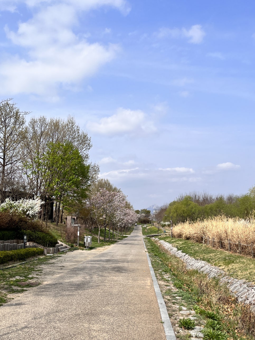 선상바베큐 이미지