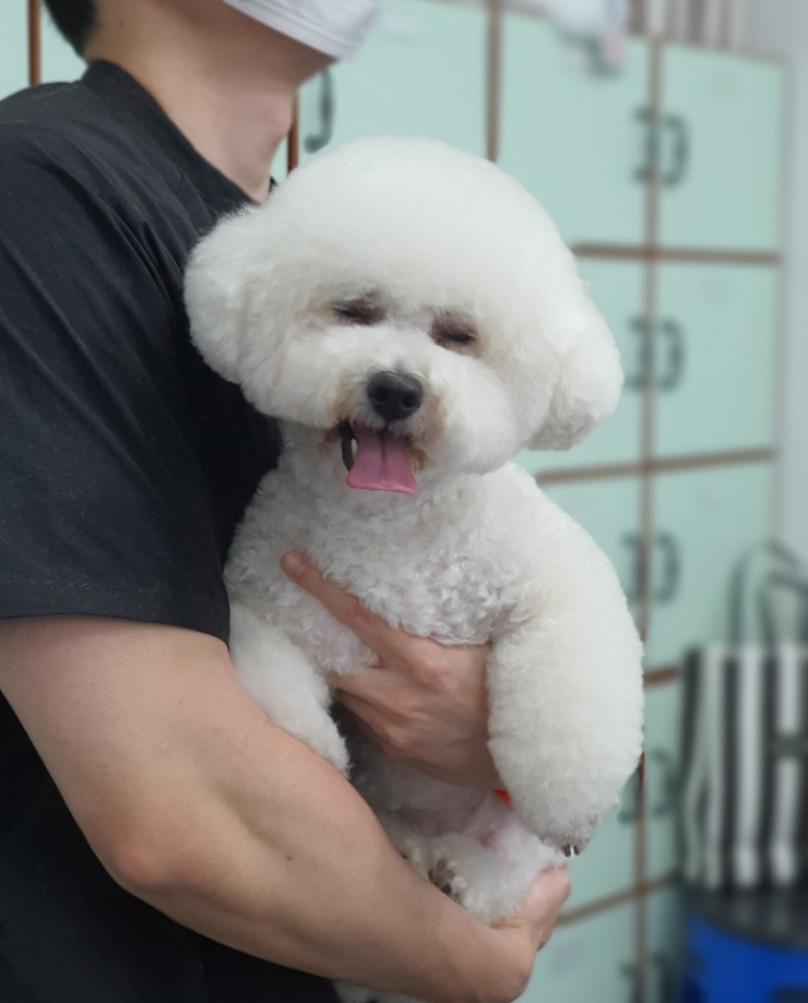이현경애견미용학원 이미지