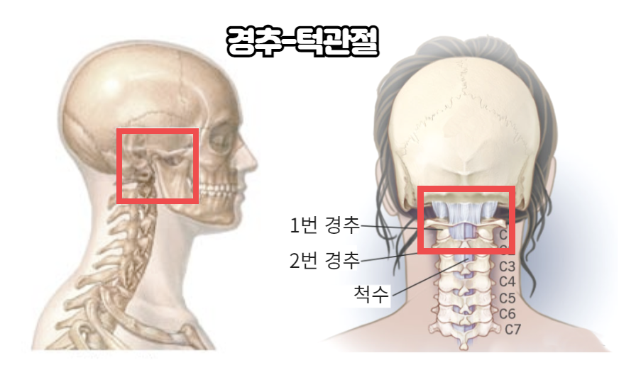 해늘한의원 이미지