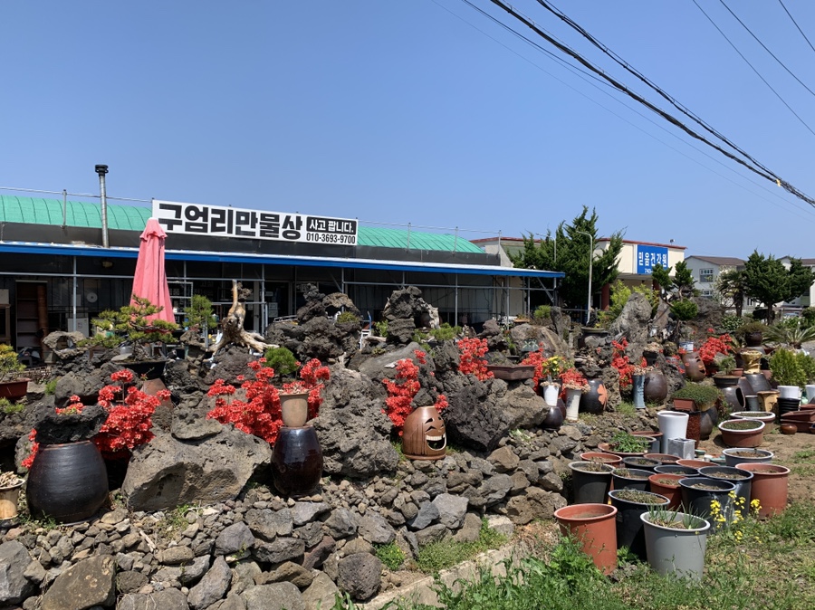 만물상구제 이미지