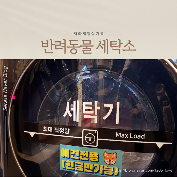 워시피플셀프빨래방천안 이미지