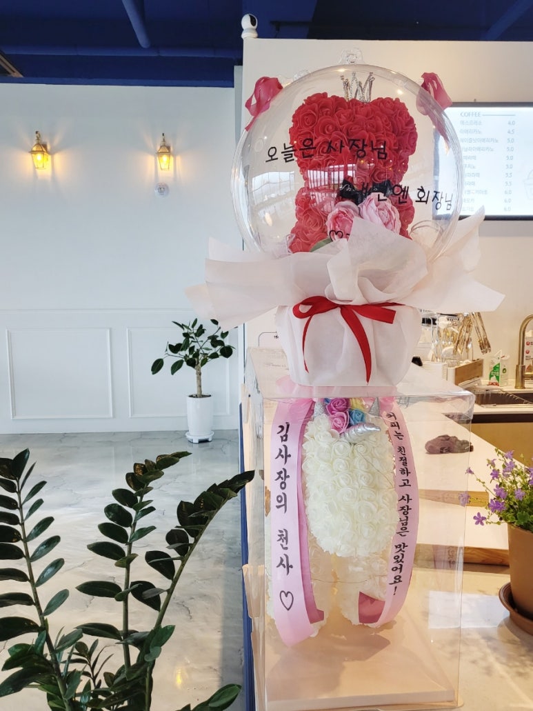 벨르라끄베르 이미지