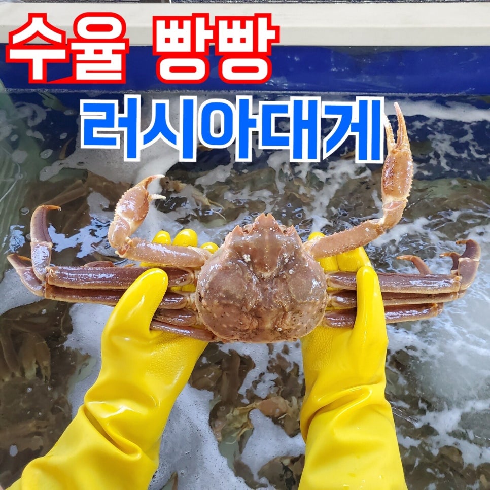 동해항씨푸드 이미지