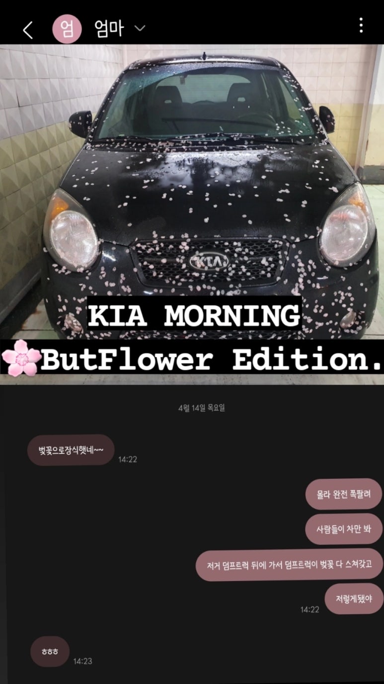 웰빙자연김밥 이미지