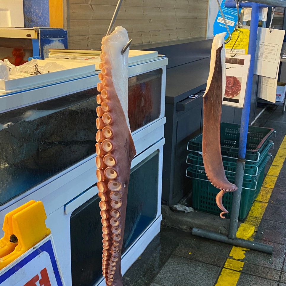 천북닭집 이미지
