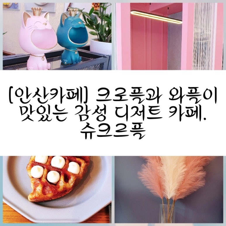 슈크르플 이미지