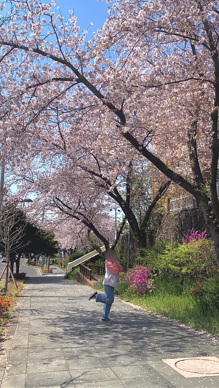 베스킨라빈스안동 이미지