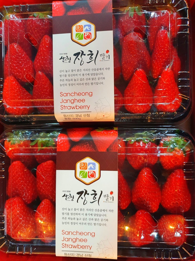 과일사랑 이미지