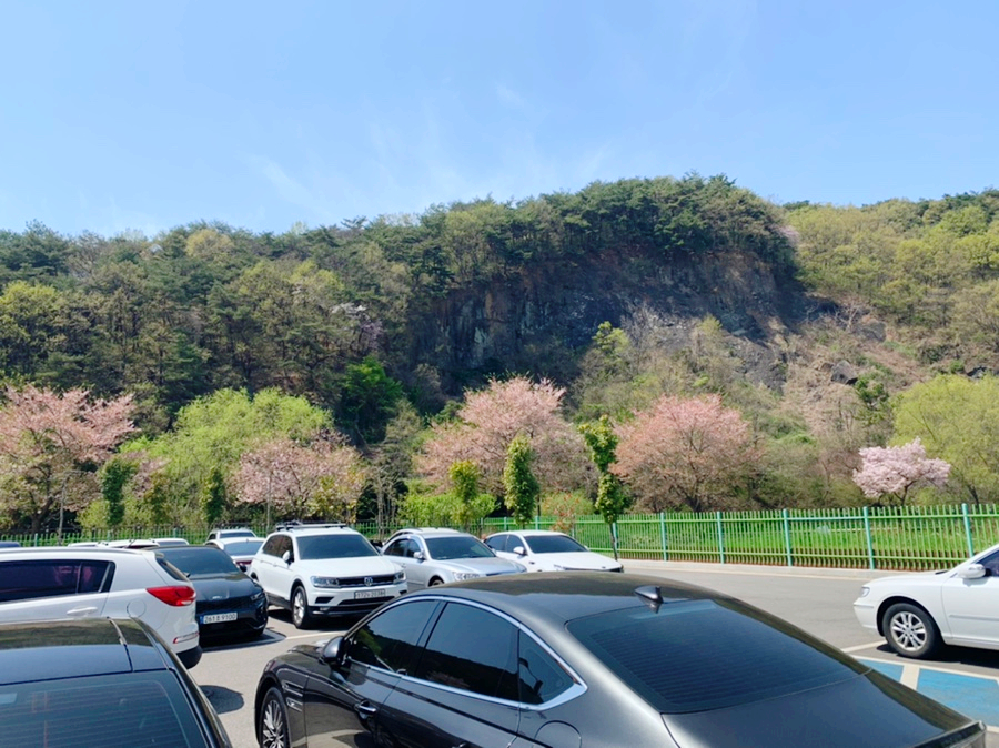 지한유치원 이미지