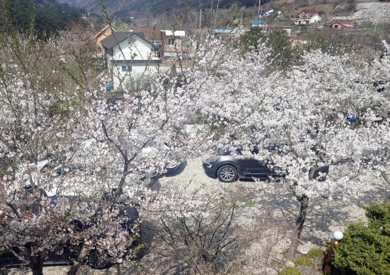 그린밸리펜션 이미지
