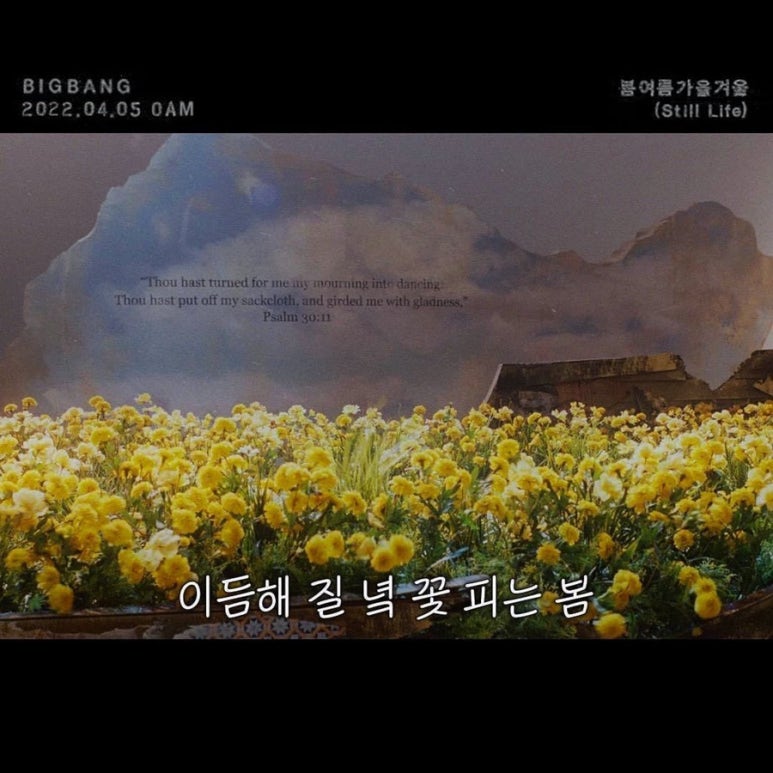 이듬해봄 이미지