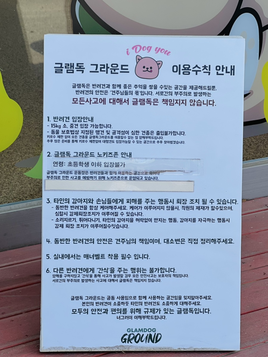 파주 애견동반카페 글램독, 넓은 운동장과 쾌적한 실내 — 사진 4