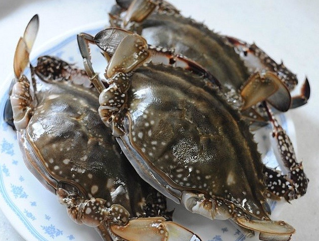 섬수산 이미지