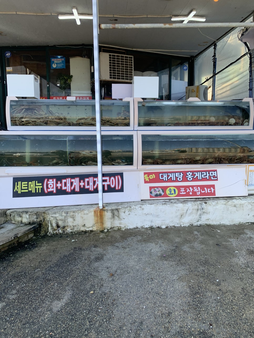 고성대게 이미지