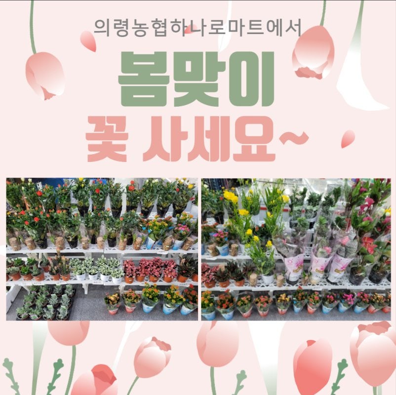 의령농협하나로마트 이미지
