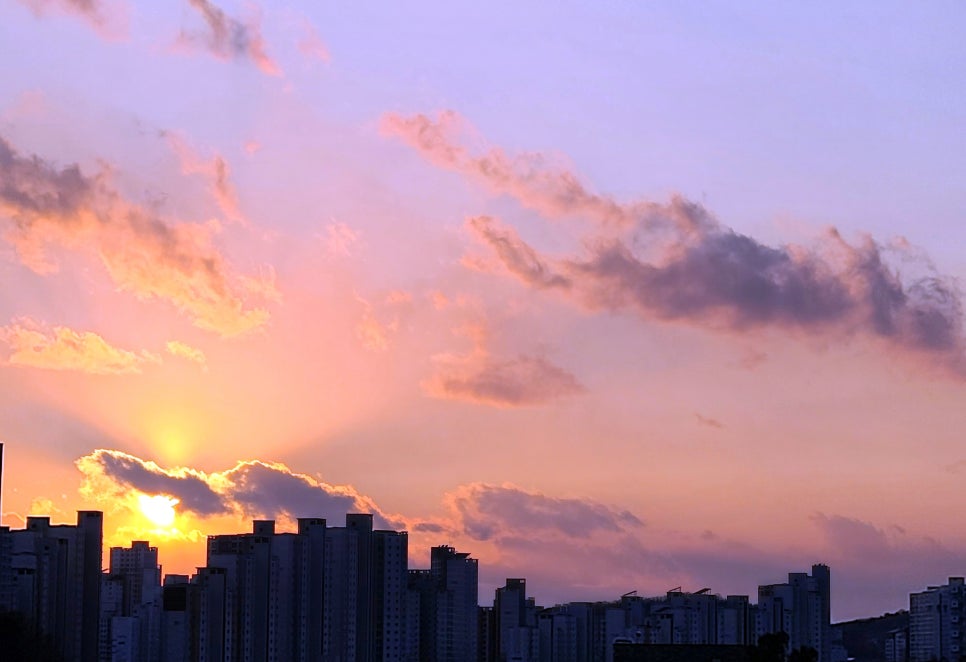 세종관리공사 이미지