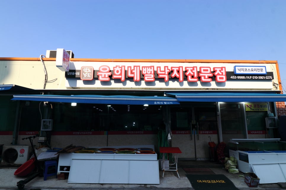 무안낙지 이미지