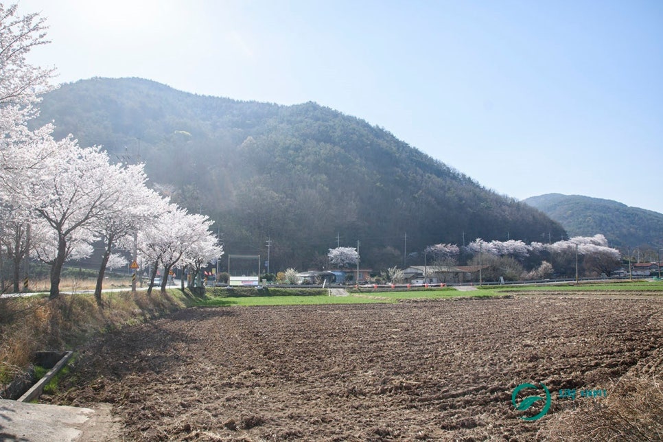 상신개발 이미지