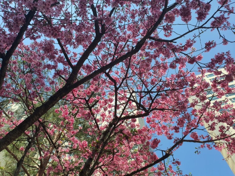 선광모터스 이미지