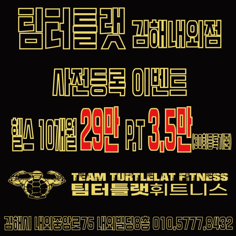 팀터틀랫김해 이미지