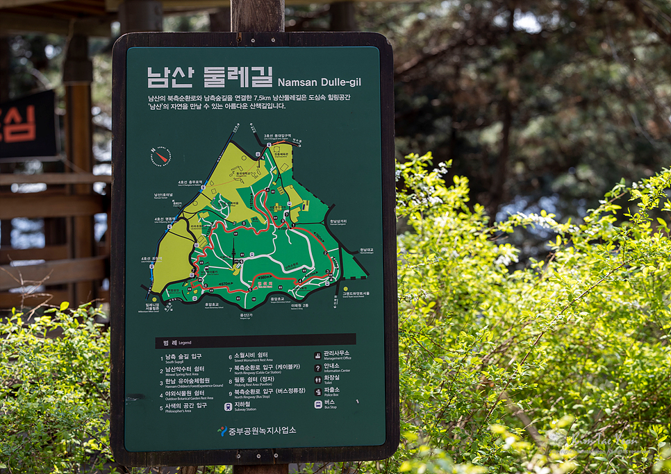 남산꽃화원 이미지