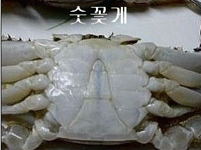 섬수산 이미지