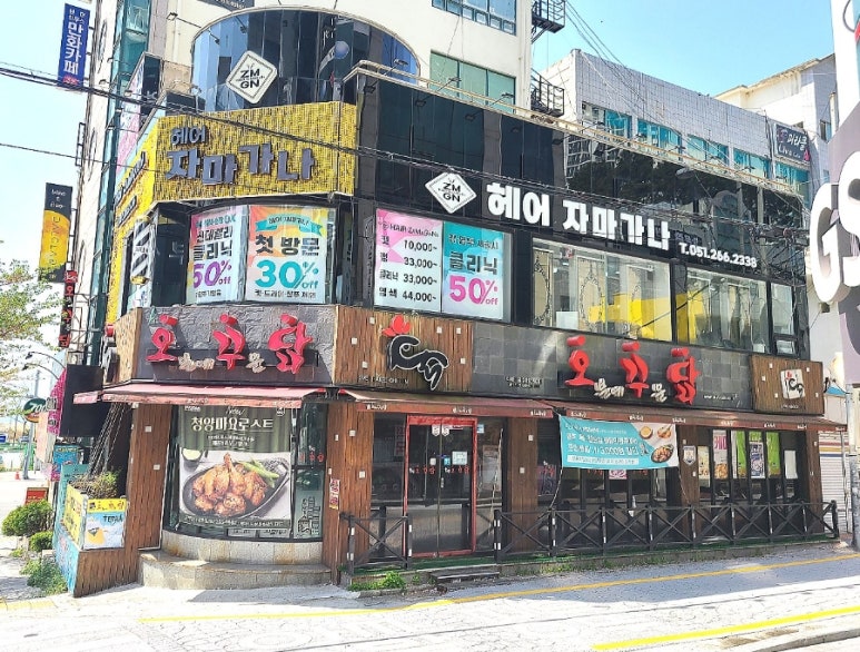 헤어 자마가나 이미지