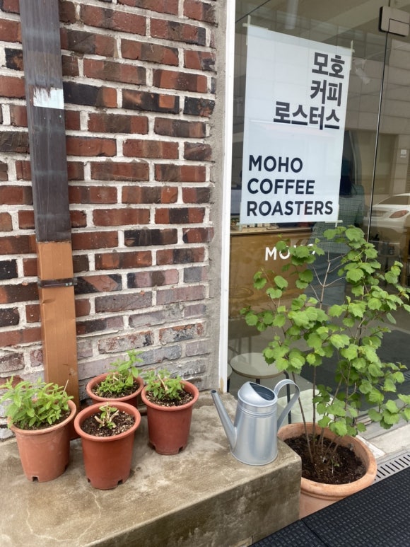 모호커피로스터스 이미지