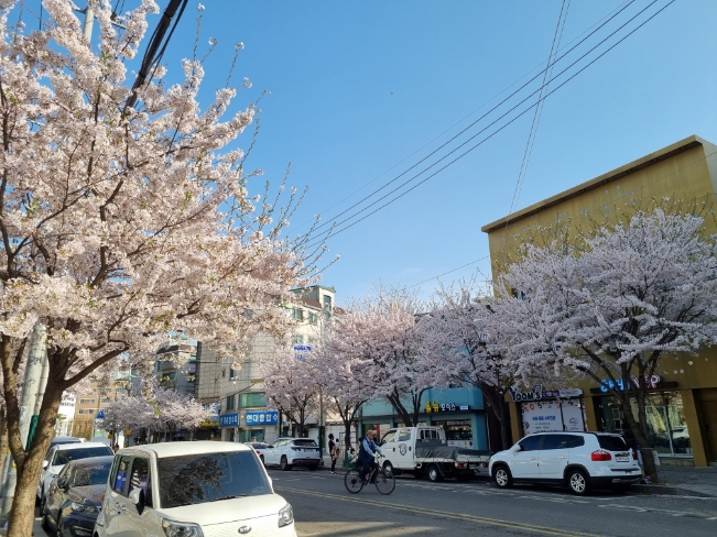 그린분식 이미지