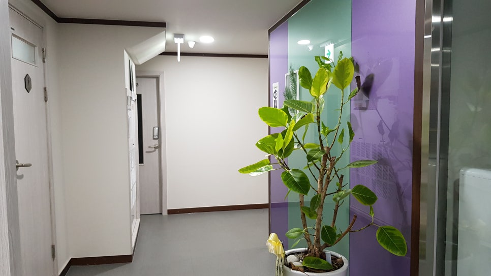 세무법인한얼 이미지