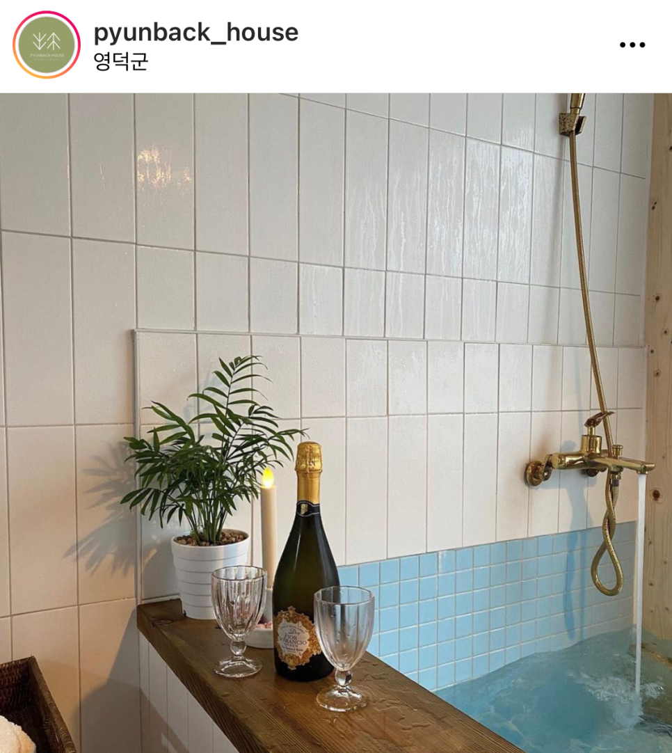 편백채 이미지