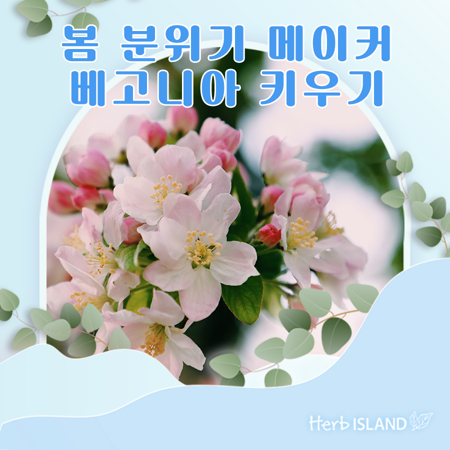 허브이야기 이미지