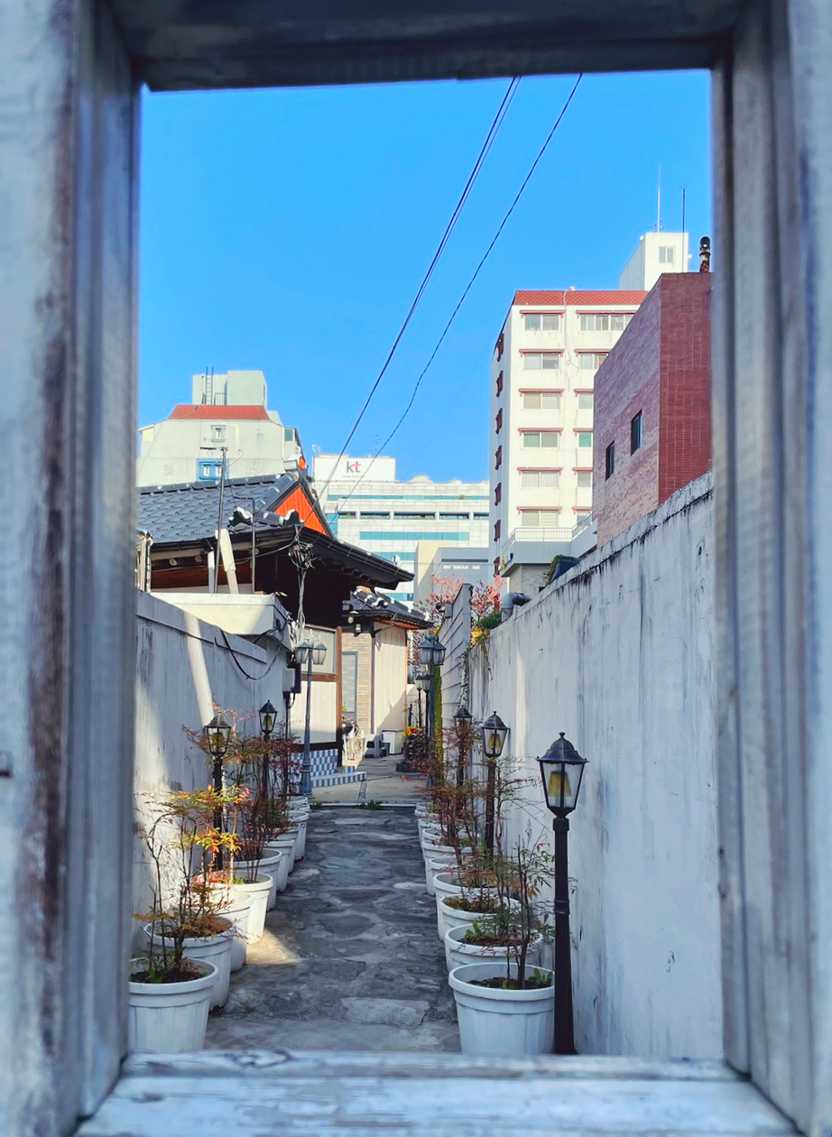 스테이소화 이미지